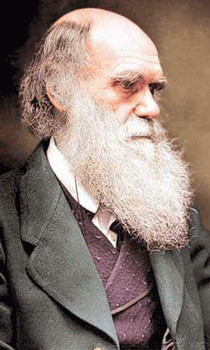 تشالز داروين صاحب نظرية التطور