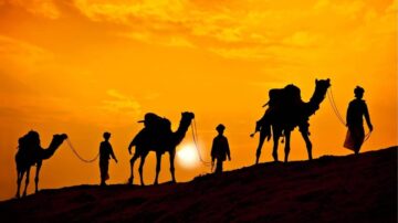 جمال غروب الشمس مع silhouettes من الجمال وركابها في الصحراء، تعكس الألوان الدافئة للأفق.