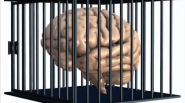 دماغ بشري في قفص، يرمز إلى القيود الفكرية أو السجن العقلي. تصميم ثلاثي الأبعاد يظهر تفاصيل الدماغ داخل القضبان، مما يعكس مفاهيم مثل الإبداع، الحرية الفكرية، والتحديات العقلية.