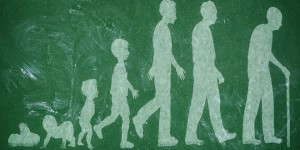 https://islamonline.net/wp-content/uploads/2014/07/human-stages-300x150.jpg