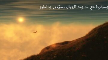 غروب الشمس فوق تلال مغطاة بالغيوم مع طائر يطير في السماء، يعكس جمال الطبيعة وهدوءها.