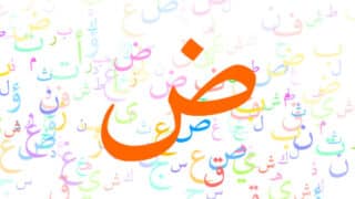 عن اللغة العربية في ذكرى “يومها”