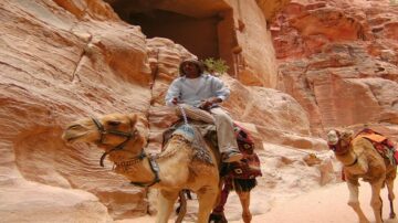 رجل يركب جملًا في مدينة البتراء القديمة، محاطًا بتضاريس صخرية ملونة. تعكس الصورة الثقافة البدوية وتاريخ المنطقة السياحي.