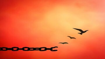 سلسلة مكسورة في المقدمة مع طيور تحلق في السماء البرتقالية. تعبر الصورة عن الحرية والانطلاق.