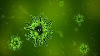 virus-1812092_1280 هل خلق آدم من بكتيريا و فيروسات التراب؟