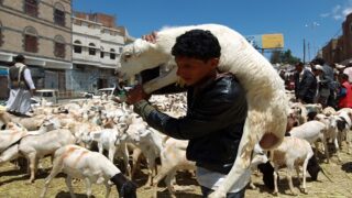 صورة مقال فتوى تثير جدلا بالمغرب تجيز الاقتراض الربوي لشراء الأضاحي !