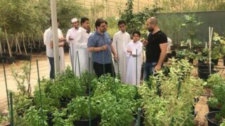 EFdsa “حديقة القرآن النباتية” في قطر.. الأولى من نوعها في العالم