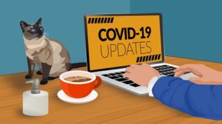 شخص يعمل على لابتوب يعرض "تحديثات COVID-19" مع قهوة ومعقم وقطة على الطاولة.