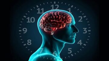 صورة توضح جانبًا من رأس إنسان شفاف يظهر الدماغ باللون الأحمر، محاطًا بساعة زمنية. تعكس الصورة العلاقة بين العقل والوقت، مما يبرز أهمية التفكير وإدارة الوقت.