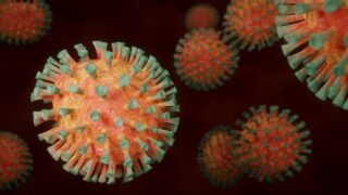 coronavirus-4972480_1280 القضايا الأصولية في فتاوى كورونا