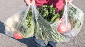 رجل يحمل ثلاثة أكياس بلاستيكية مليئة بالخضروات الطازجة، تشمل القرنبيط، السبانخ، الطماطم، والفاصولياء الخضراء، في بيئة خارجية.