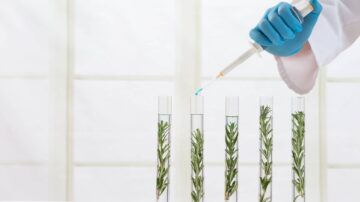 تجربة علمية تظهر يداً ترتدي قفازاً أزرق تستخدم ماصة لنقل سائل إلى أنابيب اختبار تحتوي على أعشاب عطرية. الخلفية مضاءة بشكل جيد مع نوافذ زجاجية.