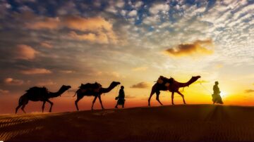 جمال غروب الشمس في الصحراء مع قافلة من الجمال تتنقل عبر الكثبان الرملية. يظهر شخصان يسيران بجانب الجمال في مشهد سلمي. السماء مزينة بسحب برتقالية وصفراء، مما يخلق أجواء ساحرة.