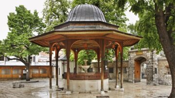 ساحة منزلة رائعة فيها أشجار ومجلس مغطى برجولا