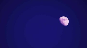 قمر نصف مكتمل في سماء زرقاء داكنة، يظهر بلون أرجواني مائل للزرقة، مع تفاصيل واضحة على سطحه.