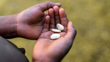 أيدٍ تحمل ثلاثة حبوب بيضاء، مع خلفية طبيعية غير واضحة، تعبر عن الزراعة أو الحياة الريفية.