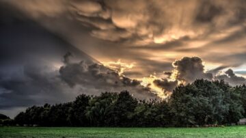 سماء غائمة تتخللها أشعة الشمس الذهبية، مع ظلال داكنة على جانب الصورة. الأشجار الخضراء تمتد على الأرضية، مما يخلق مشهداً طبيعياً ساحراً.