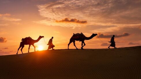 رجلان وجمال وقت الهجرة في الصحراء