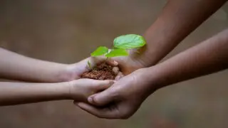 بناء الرسول للجانب الاقتصادي