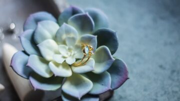 خاتم ذهبي مزين بحجر أزرق موضوع على زهرة صبار ملونة بتدرجات الأخضر والأرجواني، مع خلفية بسيطة، تعكس أناقة وذوق رفيع.