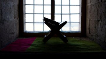 كرسي خشبي موضوع أمام نافذة كبيرة، مع إضاءة خلفية تضفي الظل على الكرسي. السجادة تحت الكرسي تحتوي على لونين، الأخضر والوردي، مما يضيف لمسة جمالية للمشهد.