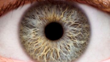 صورة مقربة لعين بشرية تظهر تفاصيل قزحية ملونة بتدرجات ذهبية وبنية، مع بؤبؤ أسود مركزي. تبرز الأوعية الدموية والخطوط الدقيقة في القزحية، مما يوضح التعقيد والجمال الطبيعي للعين.