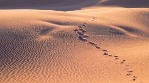 آثار أقدام في صحراء