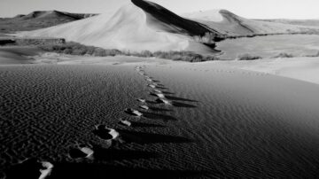 مسارات أقدام واضحة على كثبان رملية في صحراء شاسعة، مع مناظر طبيعية جرداء وتضاريس متموجة تتضمن تلال رملية. الصورة بالأبيض والأسود تضفي إحساسًا بالهدوء والعزلة.