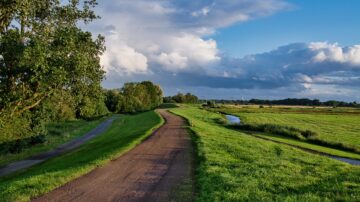 Pathway in the city side