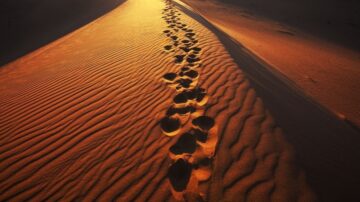 آثار أقدام تتبع خطًا مستقيمًا على رمال الكثبان الصحراوية، تضيئها أشعة الشمس الذهبية في وقت الغروب، مما يخلق تباينًا جميلًا بين الظل والضوء.