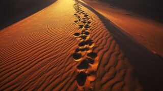 أثارالأقدام على رمال في الصحراء