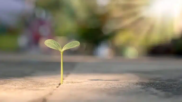 Sabr (Patience) - IslamOnline