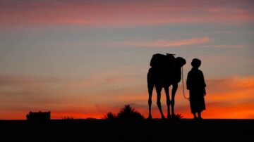 صورة لصبي يقف بجانب جمل في غروب الشمس، مع سماء ملونة بالألوان الدافئة. تعكس الصورة جمال الطبيعة في الصحراء.