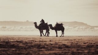 هجرة بالجمال عبر الصحراء