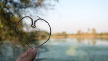 قلب مصنوع من غصين يحمل في يد شخص، مع منظر طبيعي خلاب خلفه يتضمن بحيرة وأشجار. السماء صافية تعكس جمال الطبيعة.