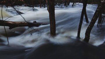 مجرى مائي يتدفق بسرعة بين الأشجار في غابة، مع تأثيرات ضبابية توضح حركة الماء. الألوان الداكنة تضفي جواً هادئاً وطبيعياً.