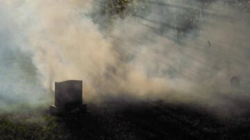 ضباب كثيف يحيط بقبر في مقبرة، مع أشعة الشمس تتسلل عبر الغيوم، مما يخلق جوًا غامضًا وهادئًا.