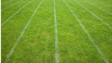 عشب أخضر بمسارات بيضاء متوازية، يُظهر أرضية ملعب رياضي. يبرز التصميم الصفوف الواضحة، مما يساهم في تنظيم الفعالية الرياضية.