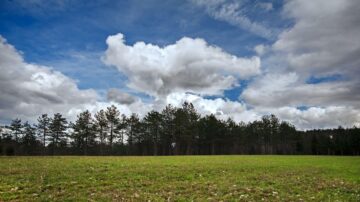 سماء زرقاء مع سحب بيضاء فوق أرض خضراء، محاطة بأشجار دائمة الخضرة في الخلفية. منظر طبيعي هادئ يجسد جمال الطبيعة.