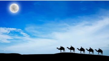 جمال تسير تحت ضوء القمر في سماء زرقاء مع سحب خفيفة، مشهد ليلي هادئ يعكس جمال الطبيعة.