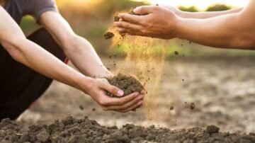 شخصان يزرعان التربة معًا، حيث تُظهر الصورة أيدٍ تحمل التربة وتفريقها، مع انتشار الغبار من التربة في الهواء. تعكس اللحظة التعاون والاتصال بالطبيعة، في خلفية ضوء الشمس الساطع.