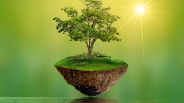 شجرة خضراء جميلة تنمو على جزيرة عائمة فوق الماء، محاطة بأرض عشبية، مع أشعة الشمس الساطعة في الخلفية، تعكس جمال الطبيعة وهدوء البيئة.