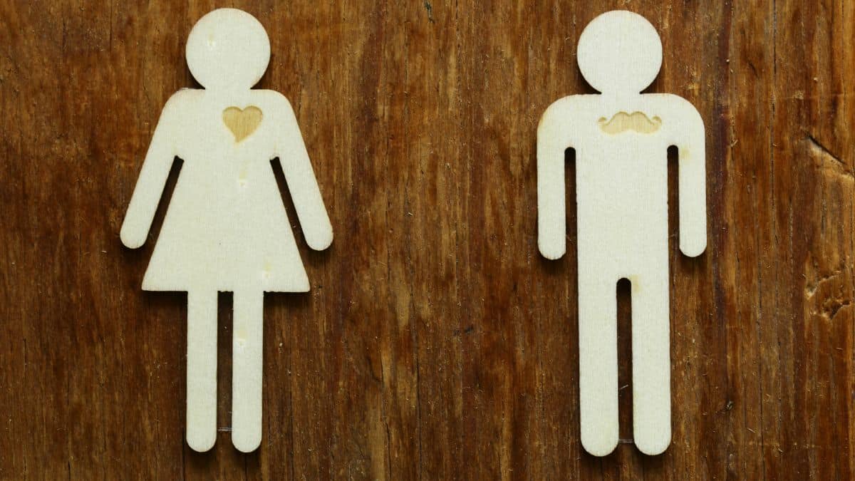 الرجل والمرأة .. ذكورة وأنوثة وأشياء أخرى
