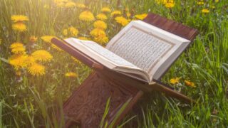 الجنة النار القرآن الكريم