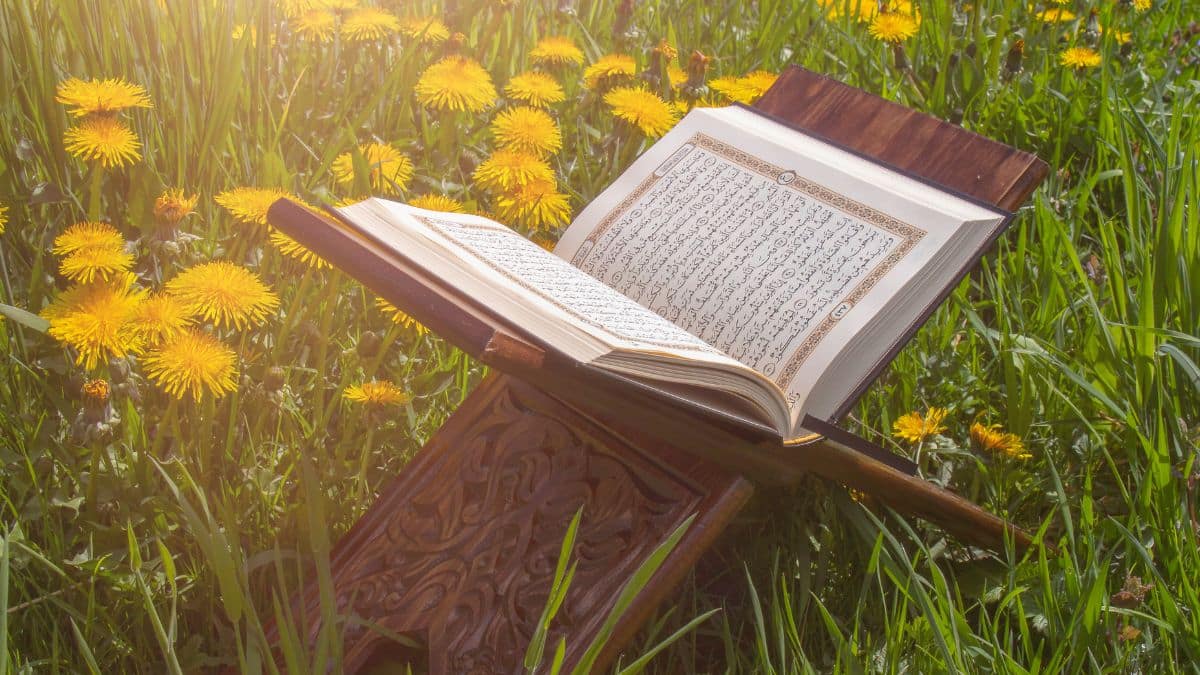 الجنة والنار في القرآن الكريم