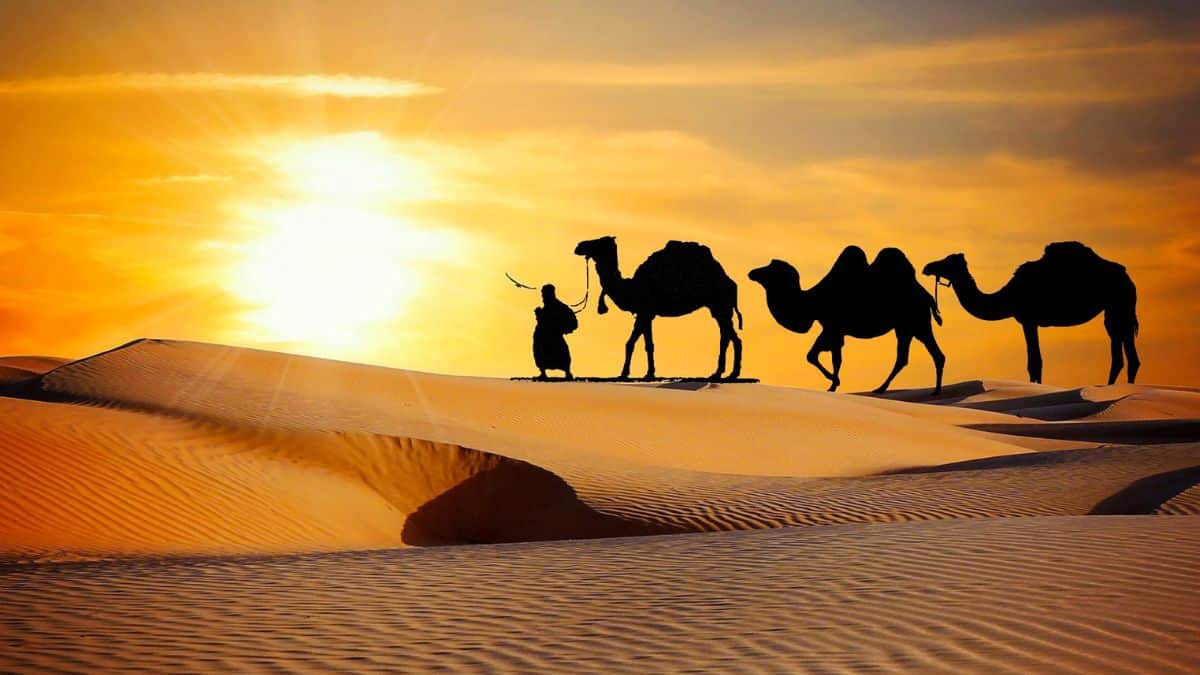 غزوة بدر الكبرى – إسلام أون لاين