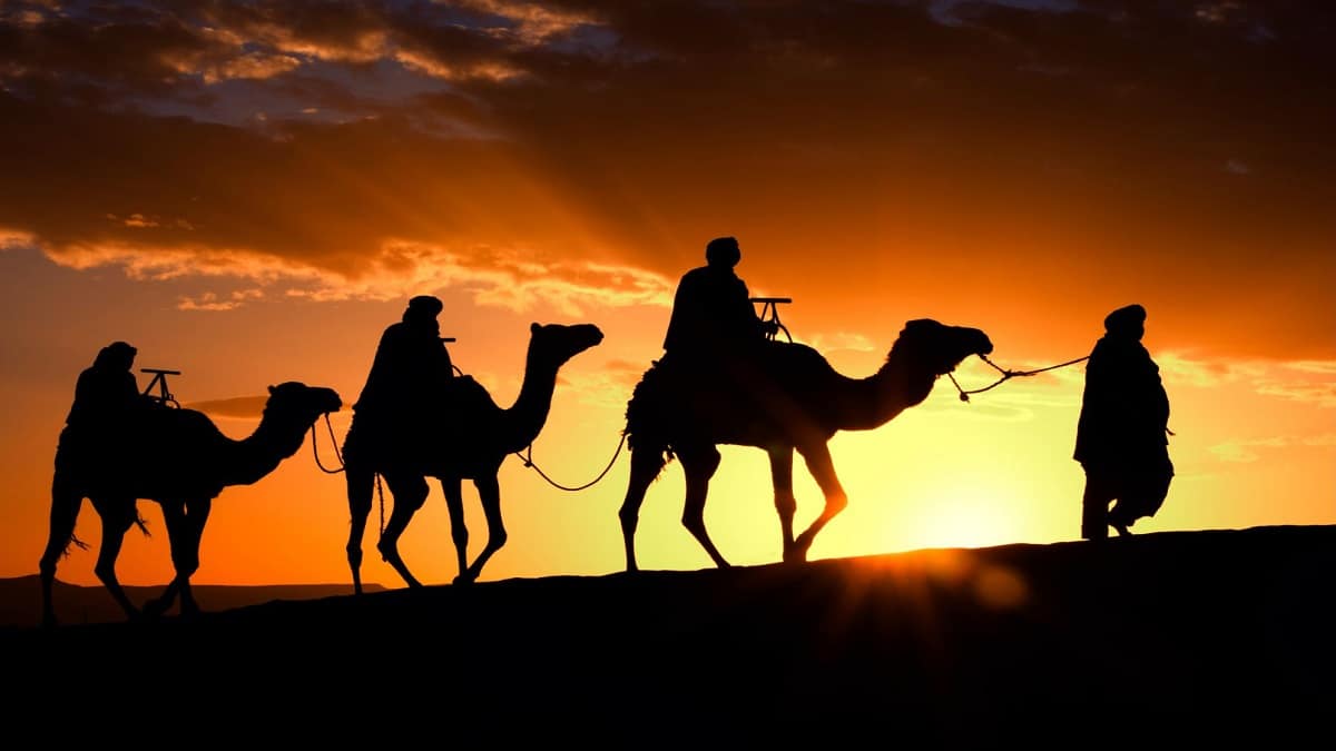 أصول التنظيم في مشروع الهجرة النبوية
