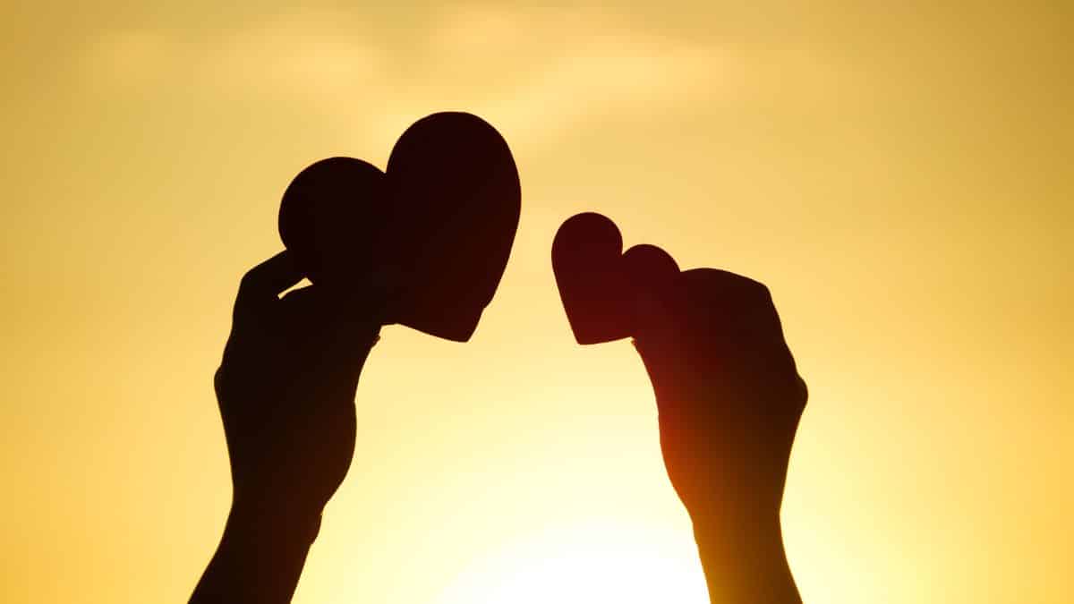 يترجم القلب كلمات الحب بمعنى واحد