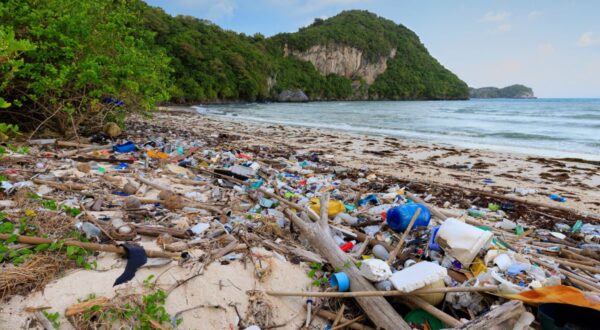 شاطئ ملوث بالنفايات البلاستيكية والأخشاب، مع منظر طبيعي يشمل التلال والأشجار في الخلفية، مما يبرز مشكلة التلوث البيئي وتأثيره على الحياة البحرية.