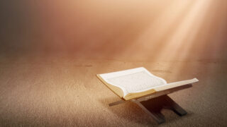 Open book resting on a stand with soft sunlight illuminating the scene, casting a warm glow on a textured surface.